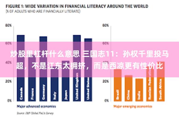 炒股里杠杆什么意思 三国志11：孙权千里投马超，不是江东太拥挤，而是西凉更有性价比