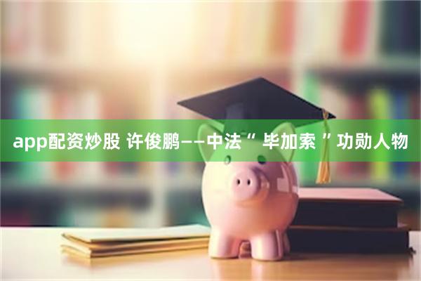 app配资炒股 许俊鹏——中法“ 毕加索 ”功勋人物