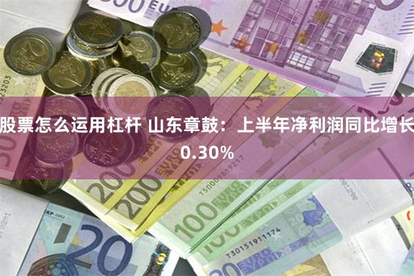 股票怎么运用杠杆 山东章鼓：上半年净利润同比增长0.30%