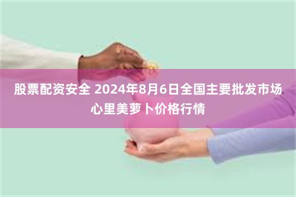 股票配资安全 2024年8月6日全国主要批发市场心里美萝卜价格行情