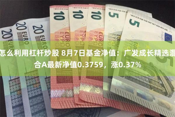 怎么利用杠杆炒股 8月7日基金净值：广发成长精选混合A最新净值0.3759，涨0.37%