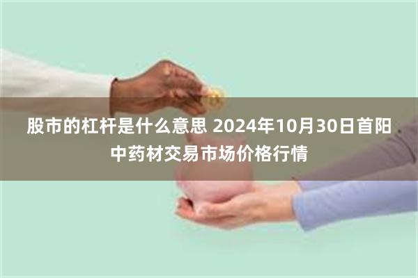 股市的杠杆是什么意思 2024年10月30日首阳中药材交易市场价格行情