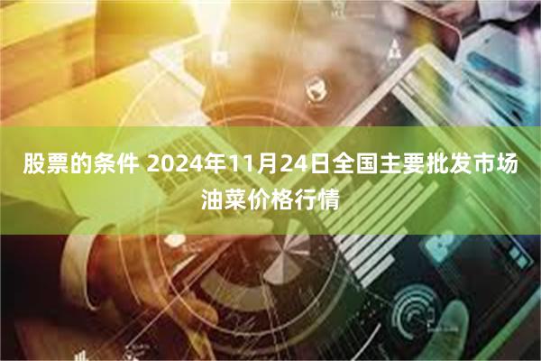 股票的条件 2024年11月24日全国主要批发市场油菜价格行情