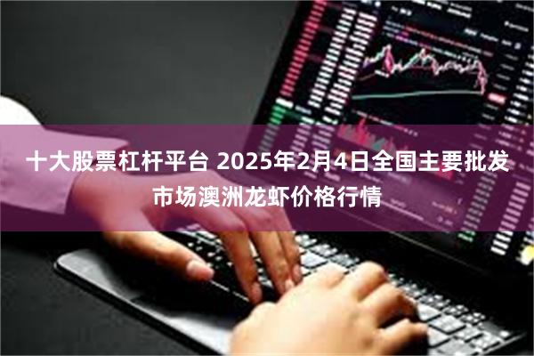 十大股票杠杆平台 2025年2月4日全国主要批发市场澳洲龙虾价格行情