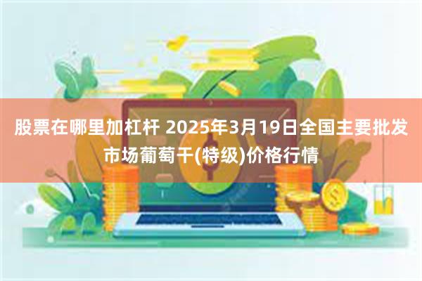 股票在哪里加杠杆 2025年3月19日全国主要批发市场葡萄干(特级)价格行情